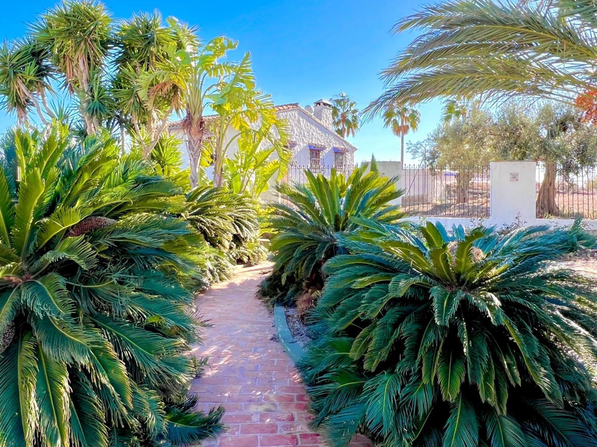 Finca Los Caballeros - Adults Only Бениса Екстериор снимка